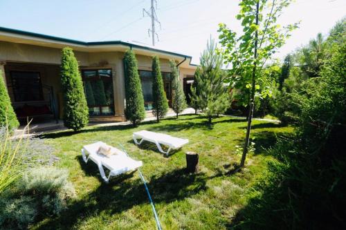 Κήπος έξω από το Mavie Guest House