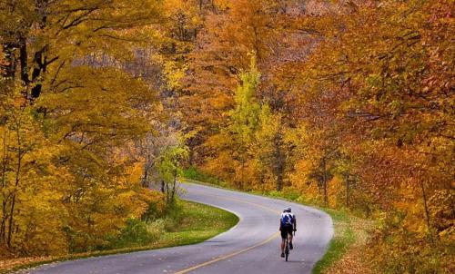 a man riding a bike down a road at Graves Mountain Farm & Lodges in Syria
