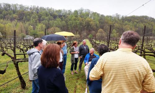 a group of people standing around in a vineyard at Graves Mountain Farm & Lodges in Syria