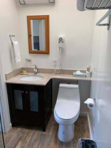 a bathroom with a white toilet and a sink at San Francisco Inn in San Francisco