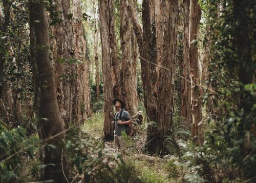 Hosté ubytování Habitat Noosa