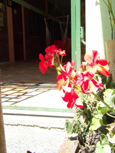 Fotografie z fotogalerie ubytování Hostal Casa Taisha v destinaci Montañita
