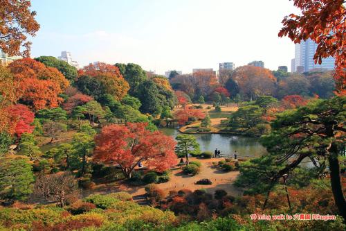 Triphome Ikebukuro Tokyo Max 7ppls FREE WIFI