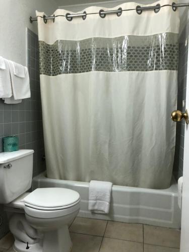 a bathroom with a toilet and a shower curtain at Deluxe Inn in Natchez