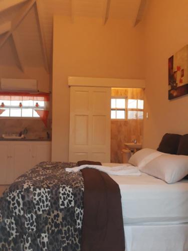 a bedroom with a bed and two windows at Haven House Apartments in Christ Church