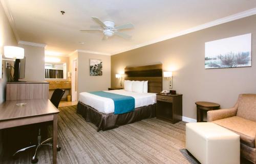 ein Hotelzimmer mit einem Bett und einem Stuhl in der Unterkunft Best Western Pearland Inn in Pearland