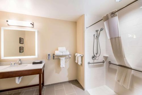 Vonios kambarys apgyvendinimo įstaigoje Comfort Inn & Suites Zion Park Area
