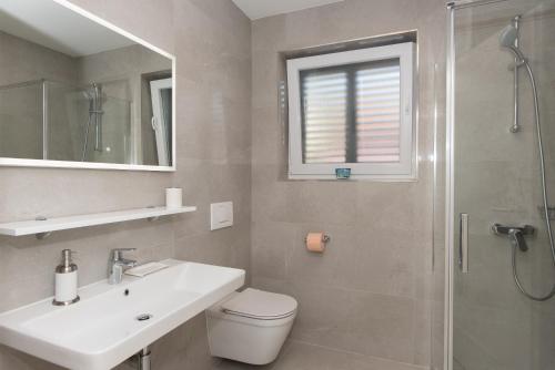 ein Bad mit einem WC, einem Waschbecken und einer Dusche in der Unterkunft White Rock Villa Kaprije in Kaprije