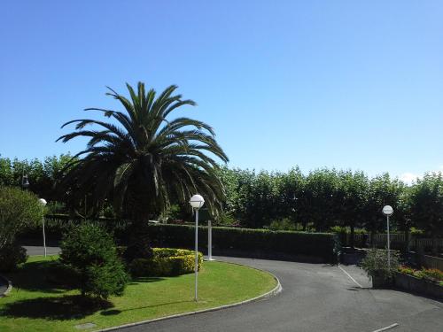 a palm tree in the middle of a driveway at Apartamentos San Pedro en Llanes in Llanes