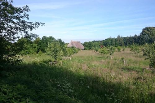 an open field with a barn in the distance at Chalet Forsthof Everstorf in Grevesmühlen