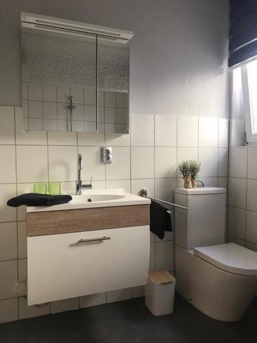 a bathroom with a sink and a toilet at Ferienhaus 2 An der Rodach in Steinwiesen