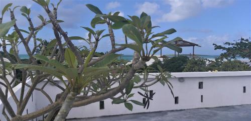 a tree in front of a white wall with the ocean in the background at Appartement Blue Coast in Mahébourg