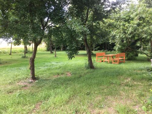 two benches in a park with trees and grass at Marijanas Ferienhof 2, Urlaub mit viel Platz zwischen Dornumersiel und Bensersiel, gehört zum Café Kunterbunt in Holtgast