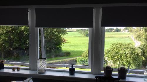 a window with a view of a green field at B & B Mølgaard by Skjern in Skjern