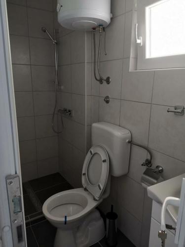 a small bathroom with a toilet and a shower at Apartments Lukrecia in Neum