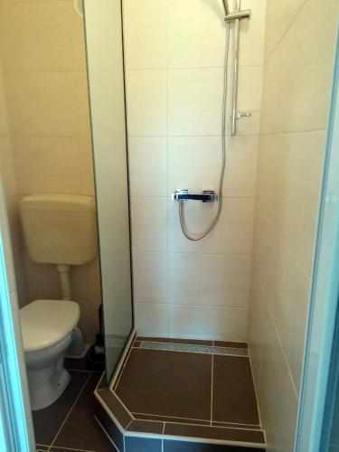 a bathroom with a toilet and a shower stall at Apartments Lukrecia in Neum