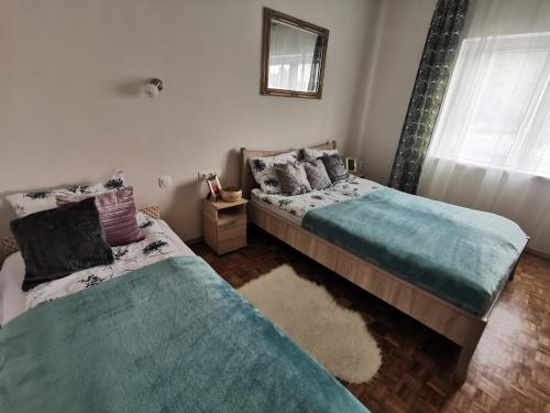 1 dormitorio con 2 camas y espejo en Villa Vonyarc, en Vonyarcvashegy