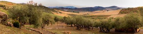 Relente – Photos 2