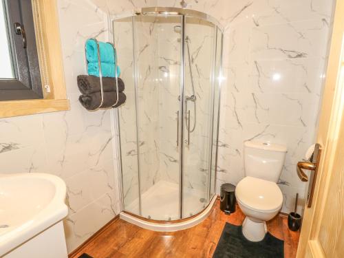 a bathroom with a shower and a toilet at Chale Farm Lodge in Ventnor