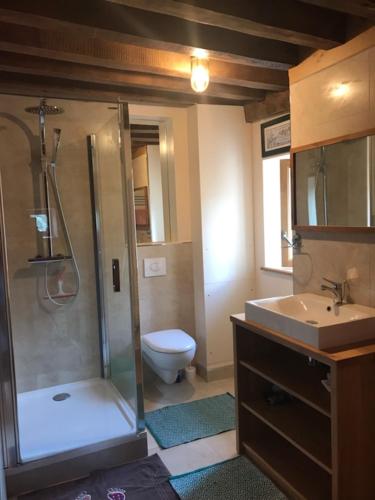 uma casa de banho com um chuveiro, um WC e um lavatório. em Le Dosne em Saint-Didier-sur-Arroux
