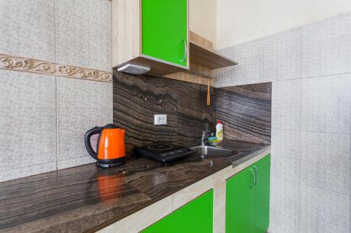 a kitchen with green cabinets and a sink at Dream Apartments in Kyiv