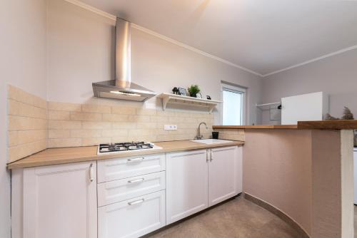 Η κουζίνα ή μικρή κουζίνα στο Quercus Apartments - Peace & Nature by the Bike Trail