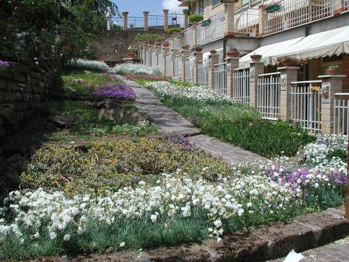 a garden with white and purple flowers next to a building at Oasi di Pace in Sutri