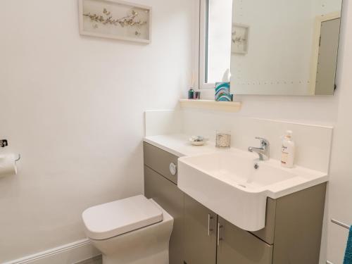 a bathroom with a sink and a toilet and a mirror at Falla Farmhouse in Jedburgh