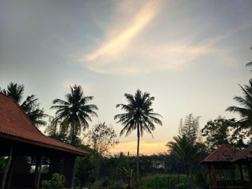 a group of palm trees in front of a sunset at JOGLO Greenhouse in Ngemplak