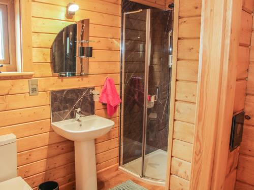 a bathroom with a sink and a shower at Manor Farm Lodges - Dragon Lodge in Newtown