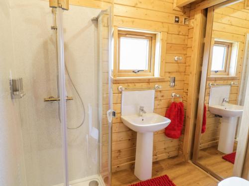 un baño con lavabo y ducha en Manor Farm Lodges - Red Kite Lodge, en Newtown