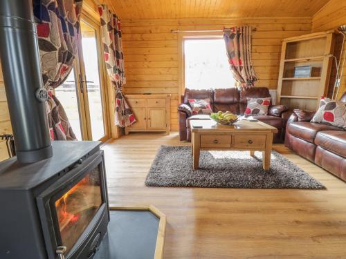 Zona de estar de Manor Farm Lodges - Red Kite Lodge