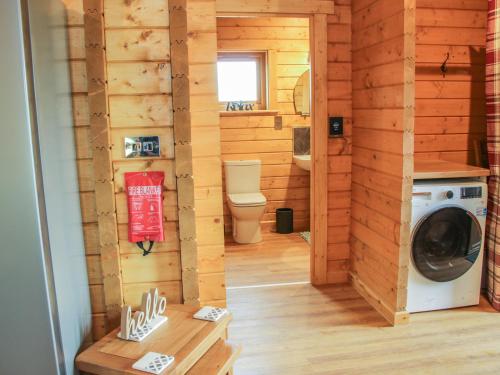 a bathroom with a washer and dryer in a log cabin at Manor Farm Lodges - Dragon Lodge in Newtown
