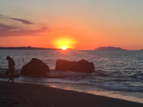 Φωτογραφία από το άλμπουμ του THE BEACH HOUSE σε Spadafora