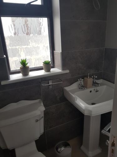 a bathroom with a toilet and a sink and a window at Park View in Galway
