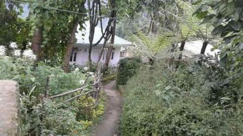 Jardín al aire libre en Vamoose Yakchiri