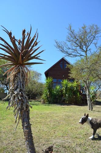 a sheep standing next to a palm tree at A Stone's Throw Accommodation in Grahamstown