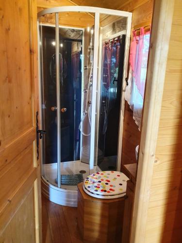 une douche avec une porte vitrée dans une pièce dans l'établissement Le Petit Moulin du Rouvre, à Saint-Pierre-de-Plesguen