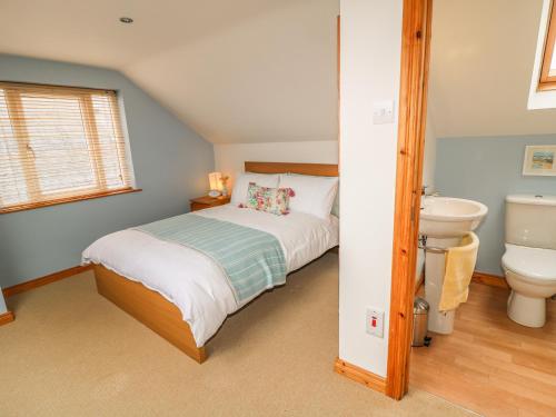 a bedroom with a bed and a sink and a toilet at 1 The Moorings in Newry