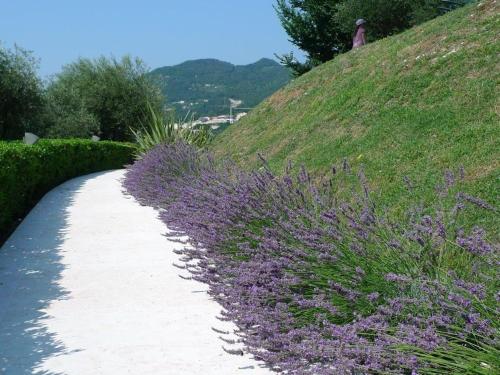 a path with purple flowers on a hill at Appartamenti Borgo in Gardone Riviera
