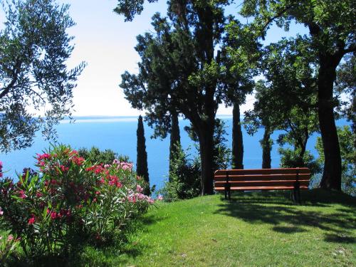 Paisaje cerca de este apartamento