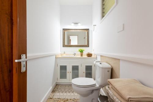 a bathroom with a toilet and a sink at LAS HORTENSIAS WITH PRIVATE POOL in Santa Brígida