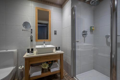 uma casa de banho com um lavatório, um chuveiro e um WC. em Boyne Valley Hotel - Bed & Breakfast Only em Drogheda