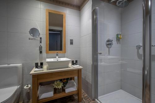 a bathroom with a sink and a shower and a toilet at Boyne Valley Hotel - Bed & Breakfast Only in Drogheda