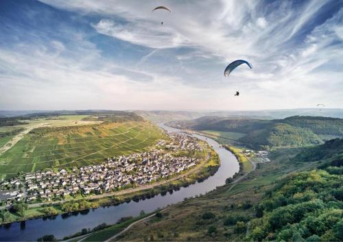 a group of people flying kites over a river at Rochter Landhotel in Zeltingen-Rachtig