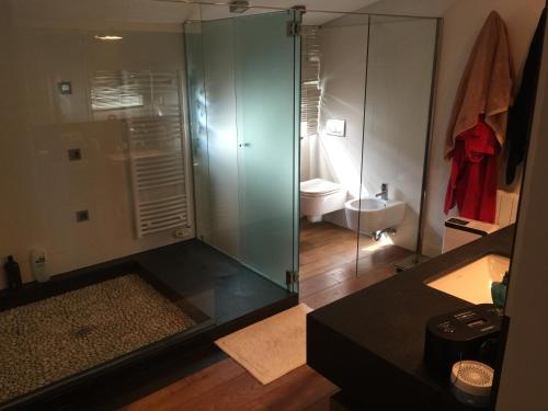 a bathroom with a glass shower and a toilet at casa tranquila para relax in Cabrera de Mar