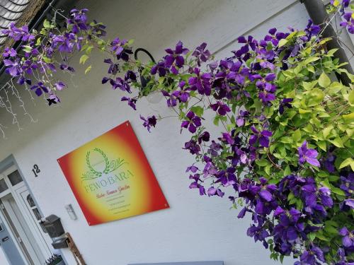 Une bande de fleurs violettes suspendues sur un mur dans l'établissement Sonnenhaus Bara, à Winterberg
