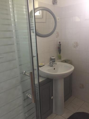 ein Bad mit einem Waschbecken und einer Dusche mit einem Spiegel in der Unterkunft Chambre chez l'habitant dans Jolie maison de campagne in Céaux-en-Couhé