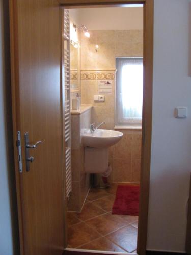 a small bathroom with a sink and a toilet at Šindlerův Dvůr in Krmelín