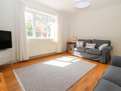 a living room with a couch and a television at Well House Farm Flat 1 in Chester